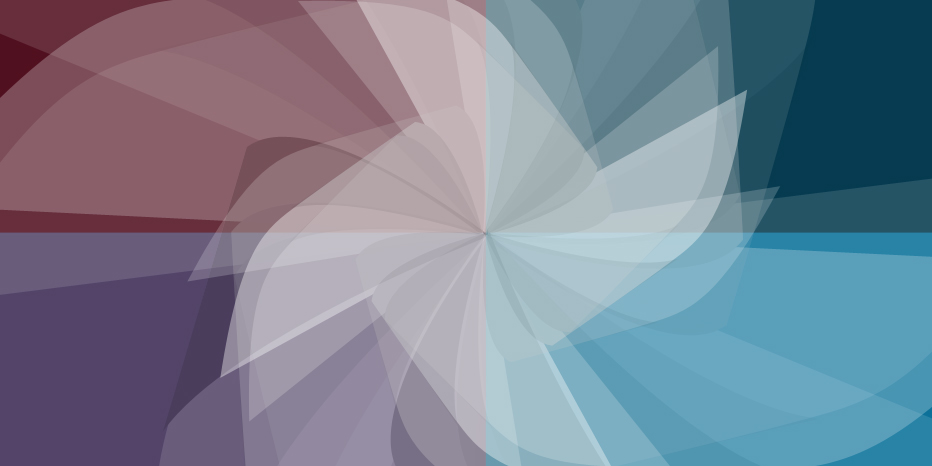 MT study for branding project